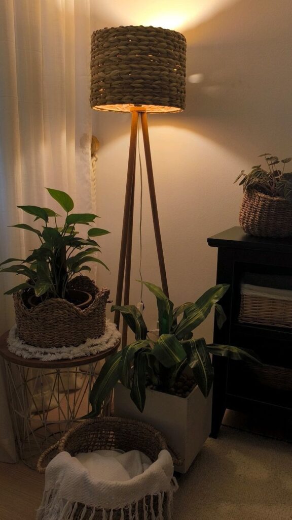 trailing indoor plant on shelf adding warmth to apartment decor